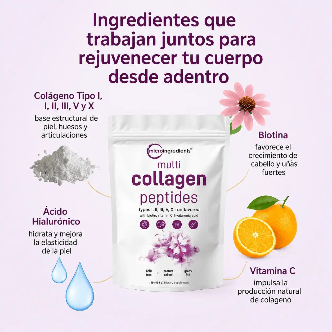 PeptiColágeno Multi- Hidratación y firmeza desde adentro